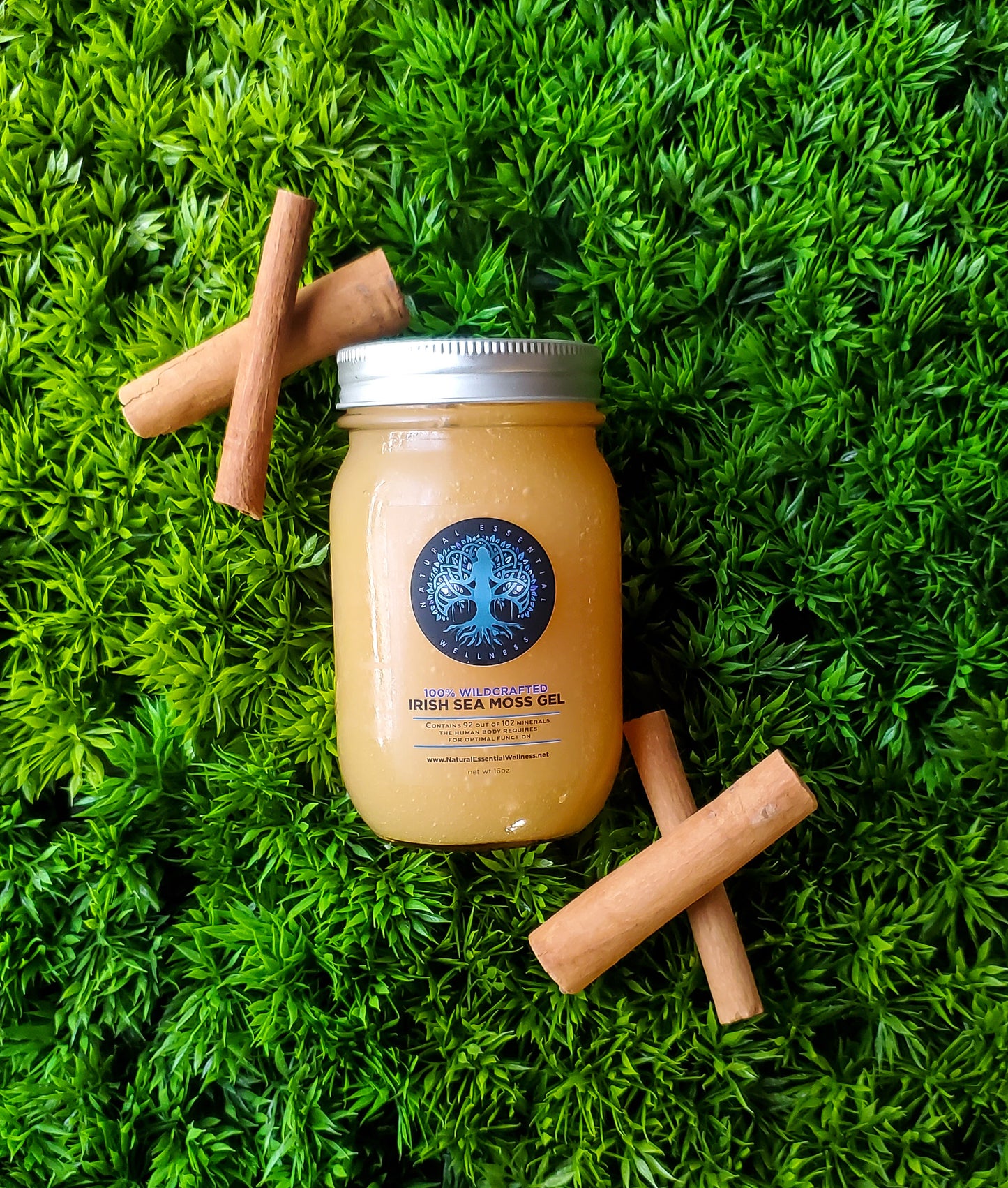 Ceylon Cinnamon & Ginger Root Irish Sea Moss Gel - "Cin Gin"