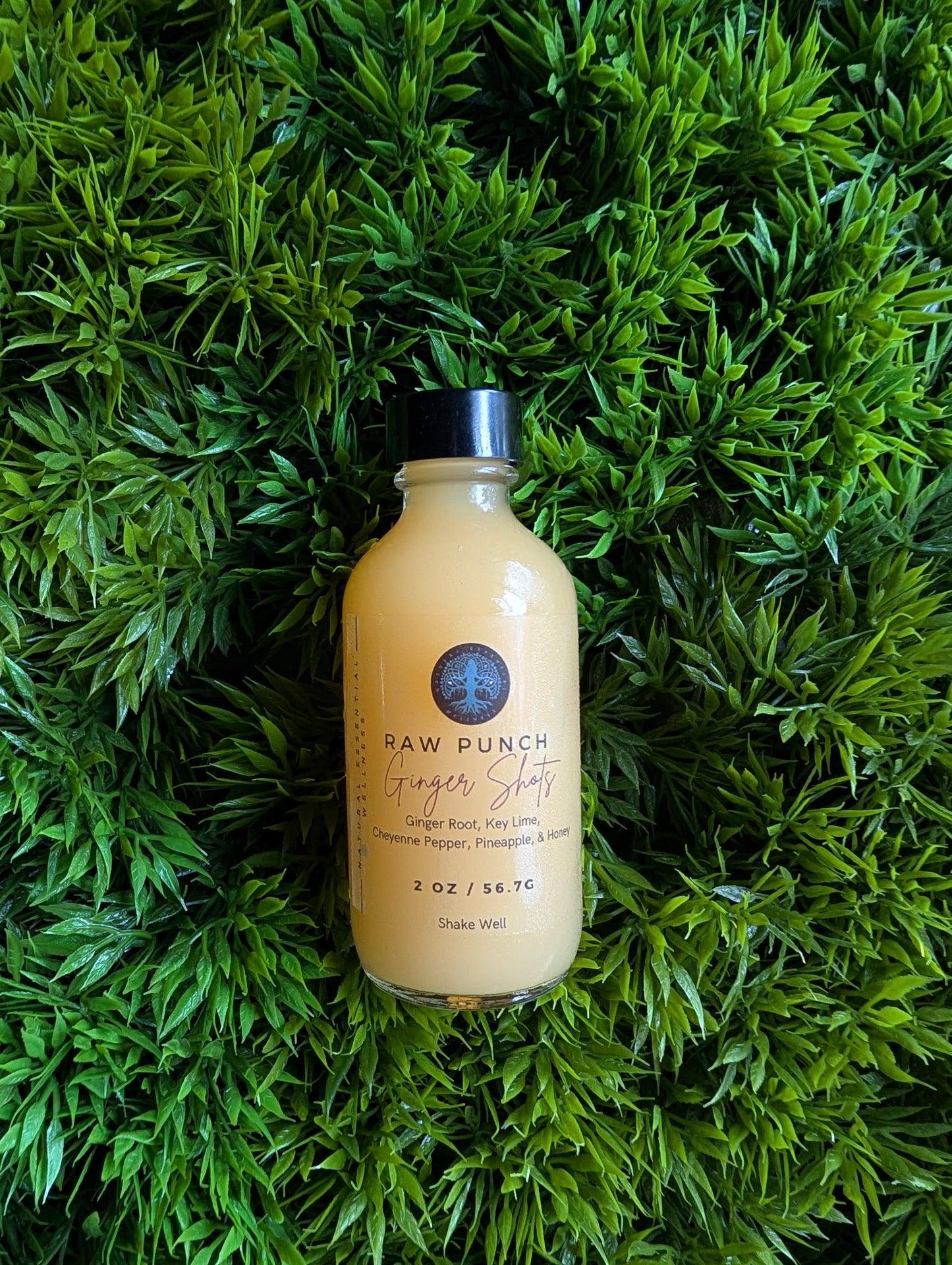 Raw Punch Ginger Shots